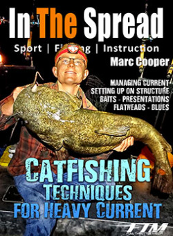 flathead catfish caught in Heavy Current 