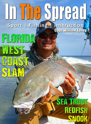Florida Inshore Slam Redfish Trout Snook