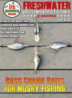 Muskie Fish with Bass Crank Baits