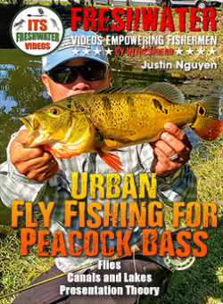 Urban Fishing Florida Peacock Bass with Justin Nguyen   