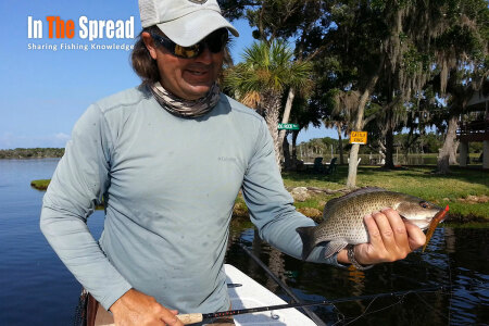 William Toney teaching Backcountry Mangrove Snapper Fishing
