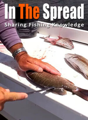 promo poster for course on Filleting Mangrove Snapper with William Toney