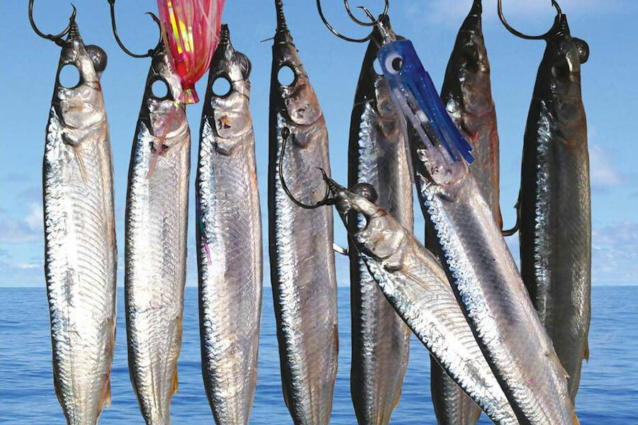 Ballyhoo Bait - Smarter Fishing