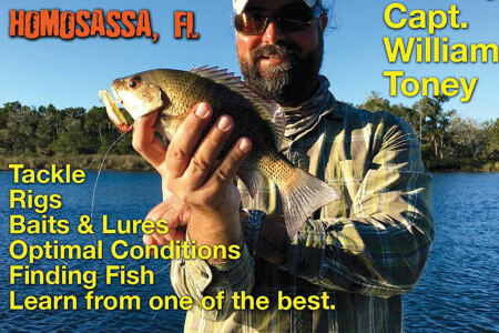 Mangrove Snapper - Smarter Fishing with More Knowledge