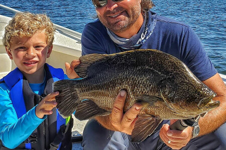 Fishing Videos - The Path to Knowledge