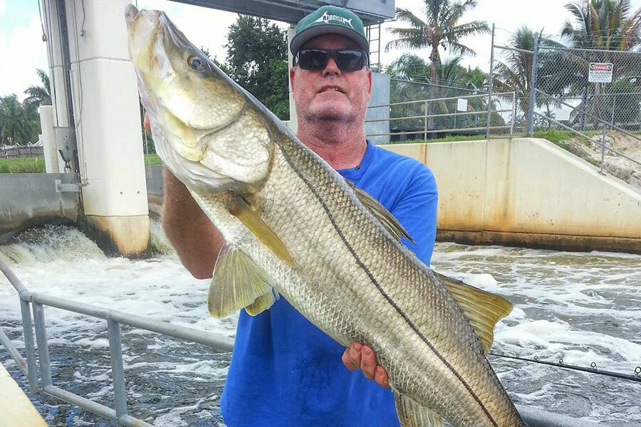Learn Fishing Spillways - Giant Snook Await