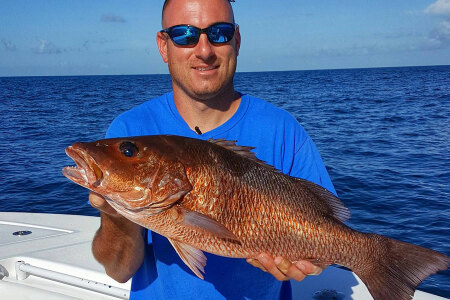 Capt. Josh Howard holds a nice mangrove snapper caught chumming in Louisiana
