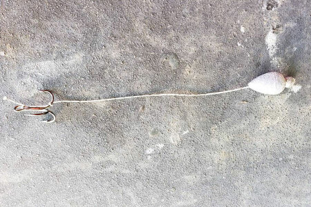 Summer Walleye Fishing - Dwayne Hickey