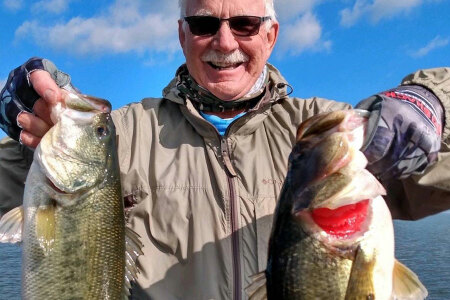 Winter Bass Lures - Flat Sided Crank Baits