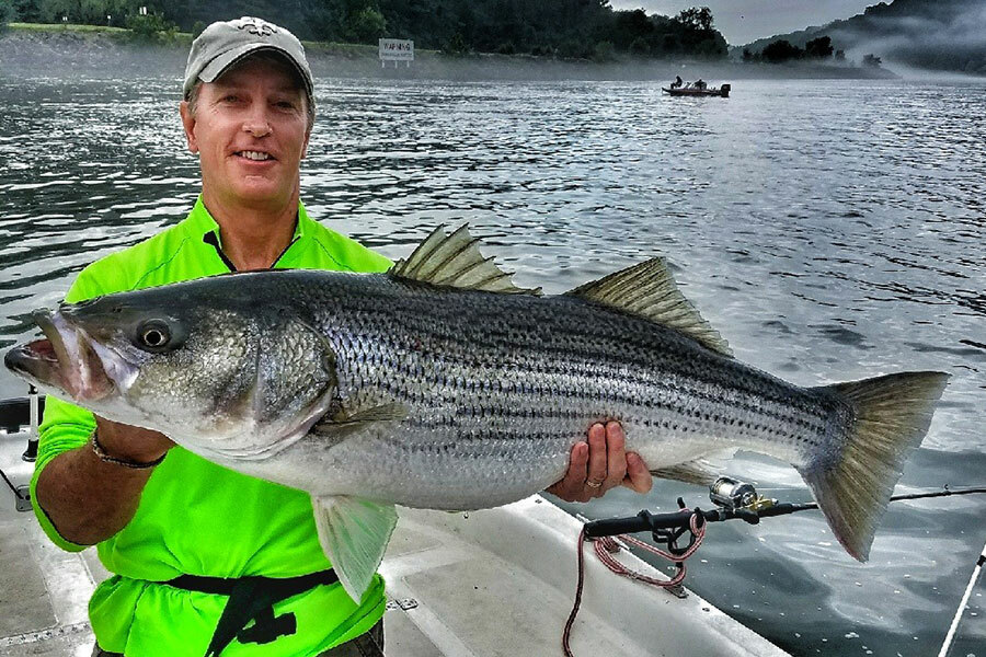 Fishing for Stripers in Tennessee