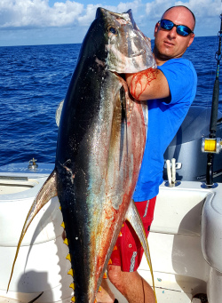 Chunking and Chumming for Yellowfin Tuna