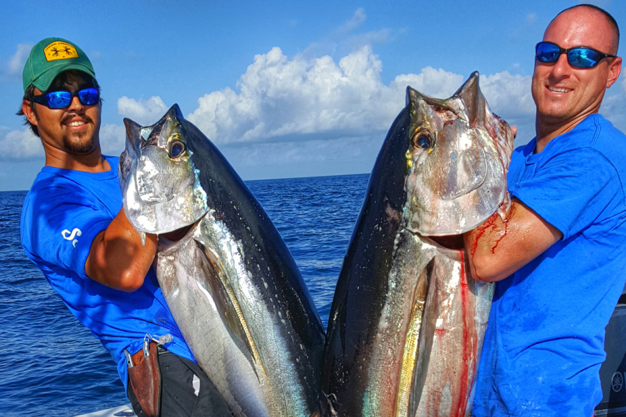 Chunking and Chumming for Yellowfin Tuna