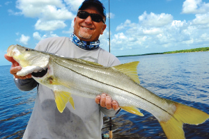 Snook caught using live bait in Chokoloskee Florida