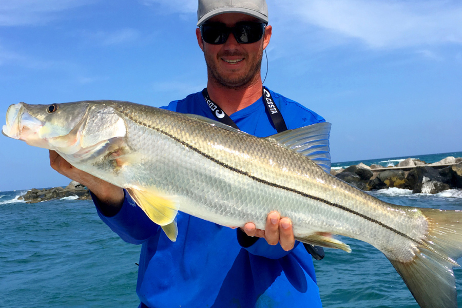 Big Snook caught fishing Jupiter Inlet