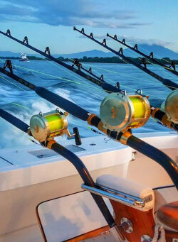 marlin fishing rods and reels in the rocket launcher