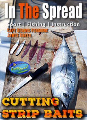 Bonito used for Cutting Strip Baits