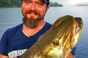 Musky caught trolling by Cory Allen in Tennessee