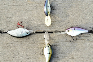 Muskie Fish with Bass Crank Baits