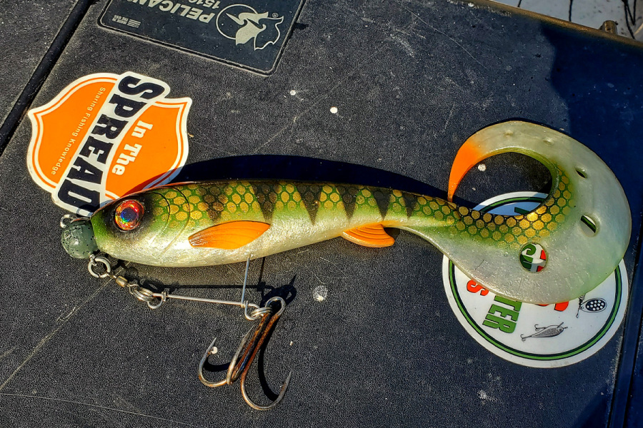 Collins River Musky Fall Transition