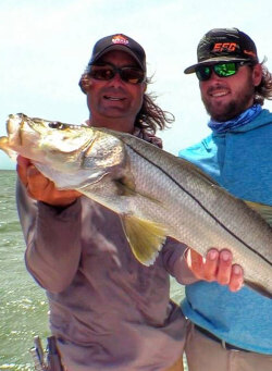 big Homosassa snook caught on 5.5 inch jerkbait