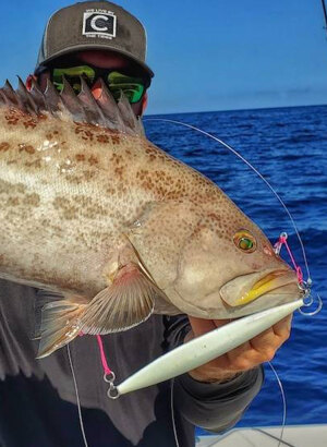grouper with slow pitch jig in the mouth