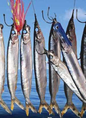 Ballyhoo Bait - Smarter Fishing