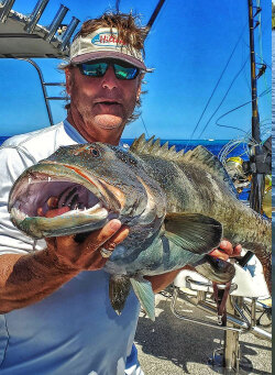  Big fish caught Bottom Fishing - Be Smart About It