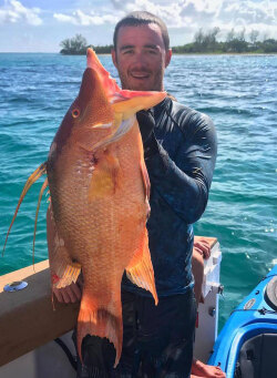 Hogfish - Fishing Basics