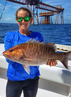 Gulf Coast Mangrove Snapper Fishing with William Toney