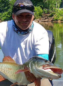 Collins River Musky Fishing - Year Round Action