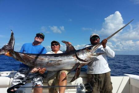 Swordfish - The Power of Smarter Fishing