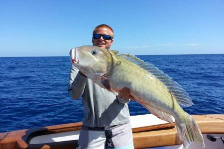 Golden Tilefish caught deep dropping on the way back from the Bahamas