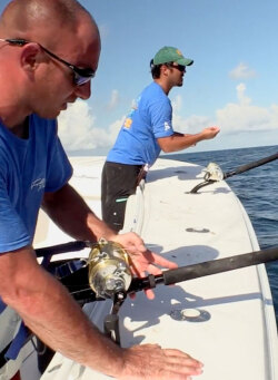 Chunking for Tuna - Fishing Videos