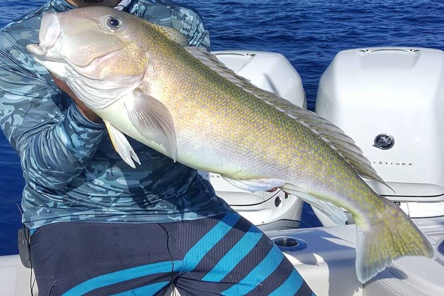 Mike Dumas aka Mutton Mike catches a golden tilefish off Miami
