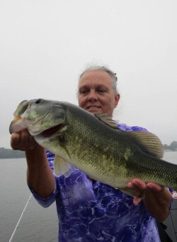  How to Attack Suspending Bass