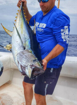yellowfin tuna being caught in the gulf of mexico out of venice louisiana