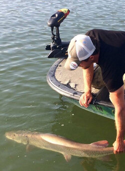 Musky Fishing Techniques - Cory Allen on the Figure 8