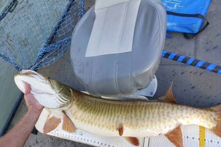 Reservoir Musky - Fishing RIP Rap with Cory Allen