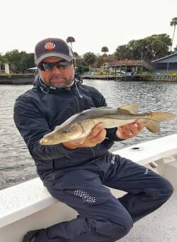 Spring Snook Fishing - William Toney &ndash; Homosassa Florida