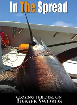 Big Swordfish - Tactical Advantages