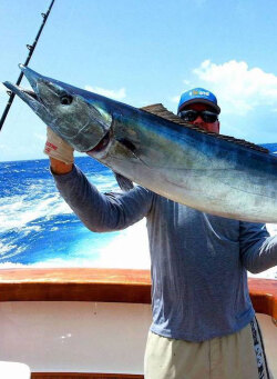 Wahoo Fish - The Razor Toothed Delicacy