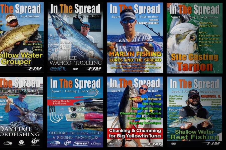 Master the Art of Angling