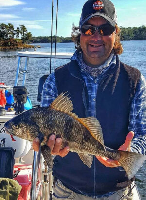 Puppy Drum - Inshore Eats