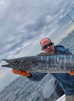 Wahoo Fishing - Questions of Movement