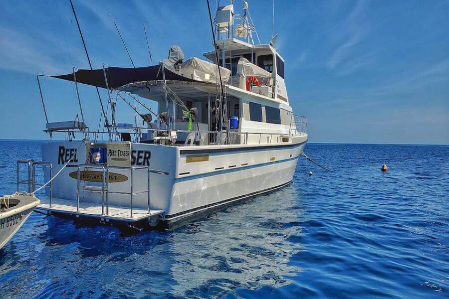 Reel Teaser Fishing Adventures