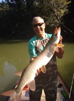 Live Bait for Muskie - Dwayne Hickey