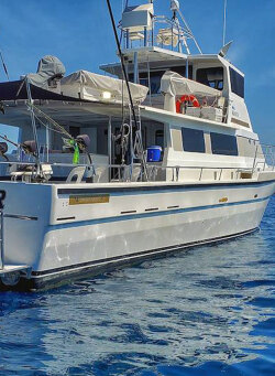 Reel Teaser Fishing Adventures