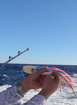 David Brackmann explains a Marlin Lure Spread 