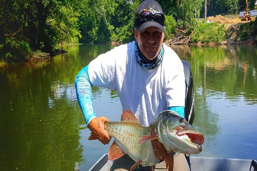 Collins River Musky Fishing - Year Round Action