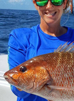 louisiana mangrove snapper caught on the oil rigs